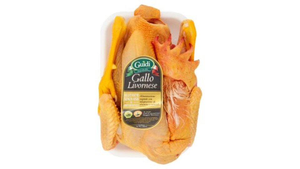 Guidi gallo Livornese
