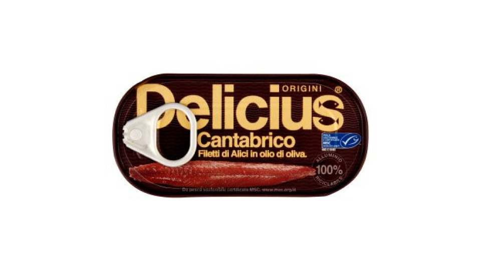 Delicius Cantabrico Filetti di Alici in olio di oliva 28 gr.