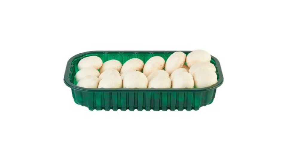 Agaricus Bisporus Bianco, confezionati