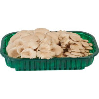 Pleurotus Ostreatus, confezionati