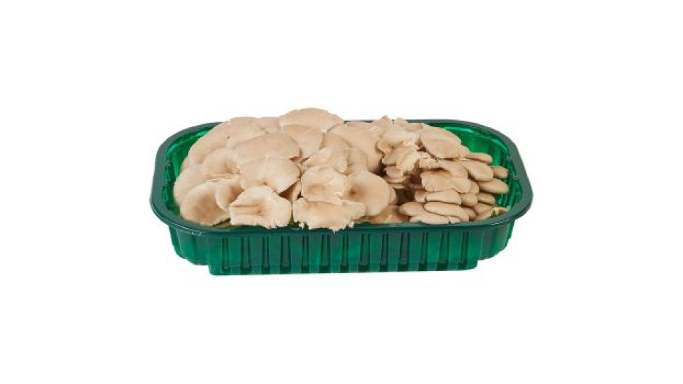 Pleurotus Ostreatus, confezionati
