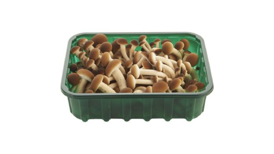 Agrocybe Aegerita (Pioppini), confezionati