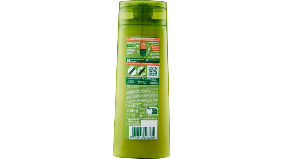Garnier Fructis Capelli Secchi 2in1 Shampoo per Capelli Secchi