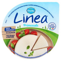 LINEA FORMAGGIO FRESCO PRIMOSALE