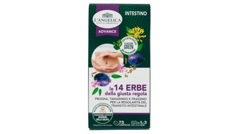LE 14 ERBE DELLA GIUSTA REGOLA
