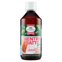 L'Angelica Advance Ventre Piatto plus Aroma Ananas 500 ml