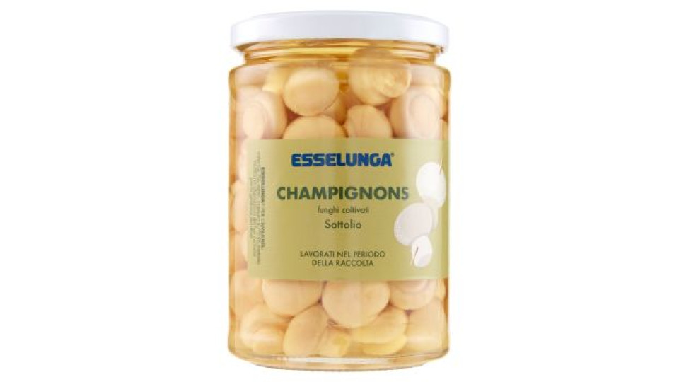 Funghi Coltivati