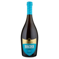 BIRRA IPA 1 BOTTIGLIA