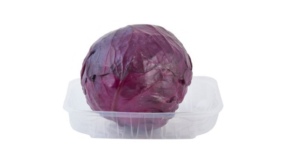CAVOLO CAPPUCCIO ROSSO