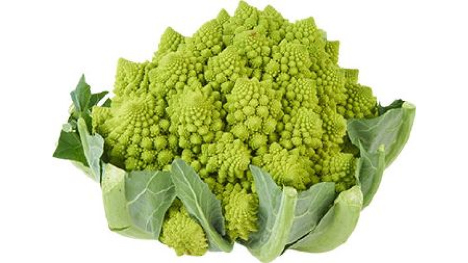 cavolfiore romanesco