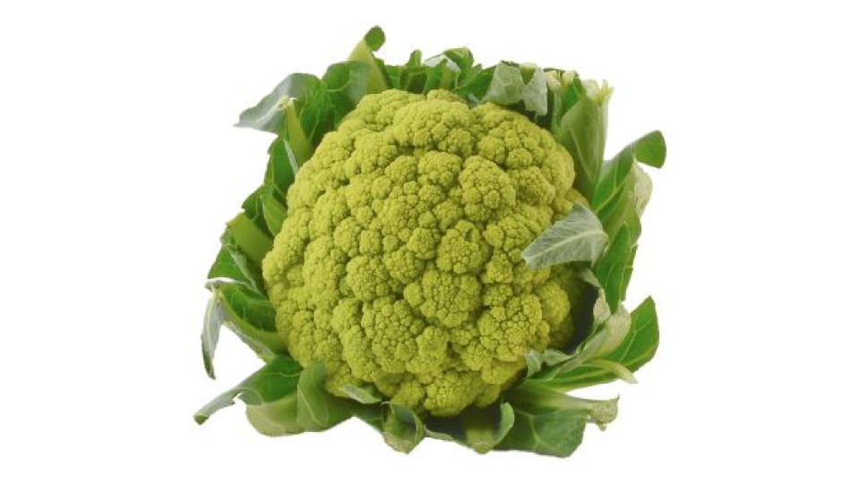 CAVOLFIORE  VERDE ***