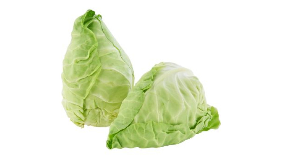 Cavolo Cuore di Bue Olanda