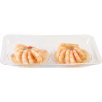 Cucina Esselunga conchiglia di crostacei