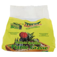 Sottobosco Terriccio Specifico per Piante Grasse 5 L