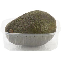 Avocado Hass