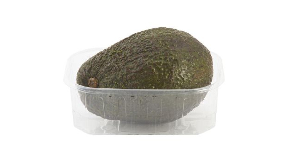 Avocado Hass