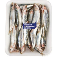 Esselunga sardine intere
