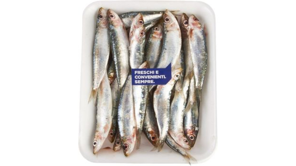 Esselunga sardine intere