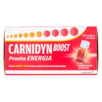 Carnidyn Boost Pronta Energia Flaconcini 10 x 15 ml