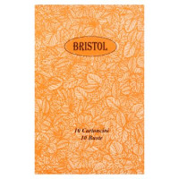 Bristol 10 Cartoncini - 10 Buste