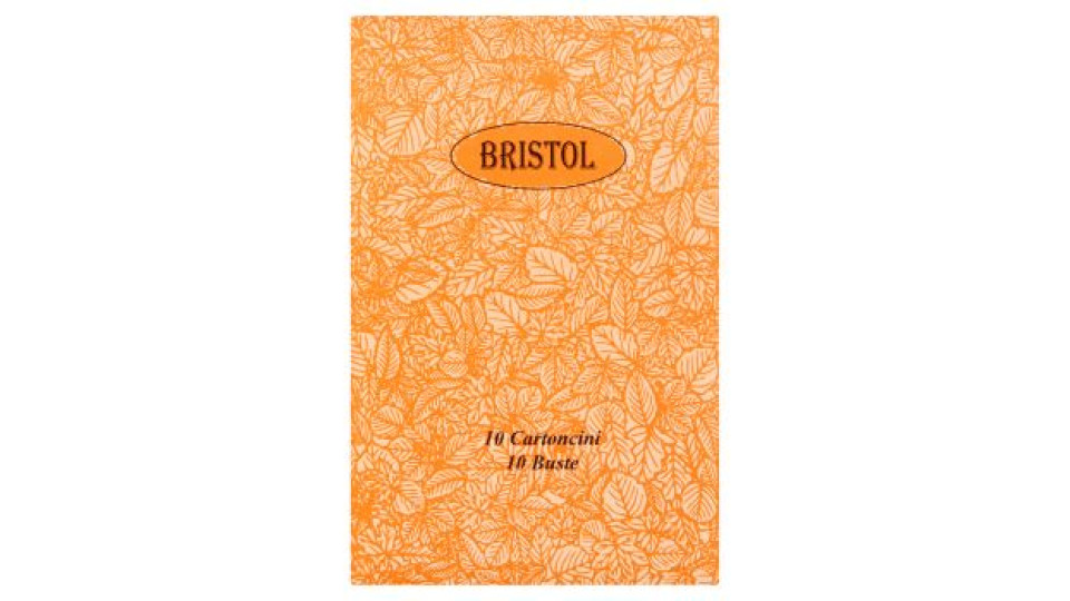 Bristol 10 Cartoncini - 10 Buste