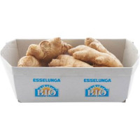 Esselunga Bio ginger biologico 250 g