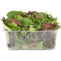 Insalatina mista confezionata 100 g