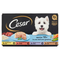 Cesar senior 10+ in una delicata gelatina 8 x 150 g