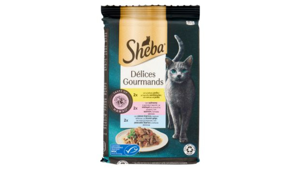 Sheba Délices Gourmands Cibo Umido Gatto Taste of Hawaii 6 x 50 g