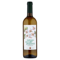 Cantine Bacchini Ortrugo dei Colli Piacentini DOC Vino Frizzante 0,75 l
