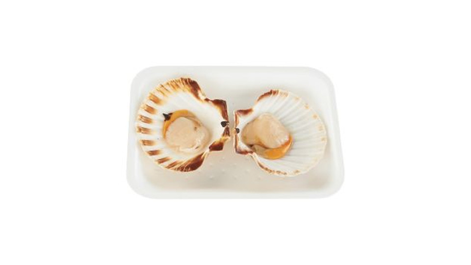 Esselunga mezza cappasanta atlantica