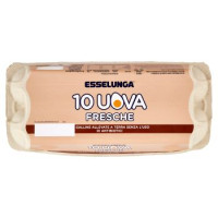 Esselunga 10 Uova fresche galline allevate a terra senza l'uso di antibiotici 570 g
