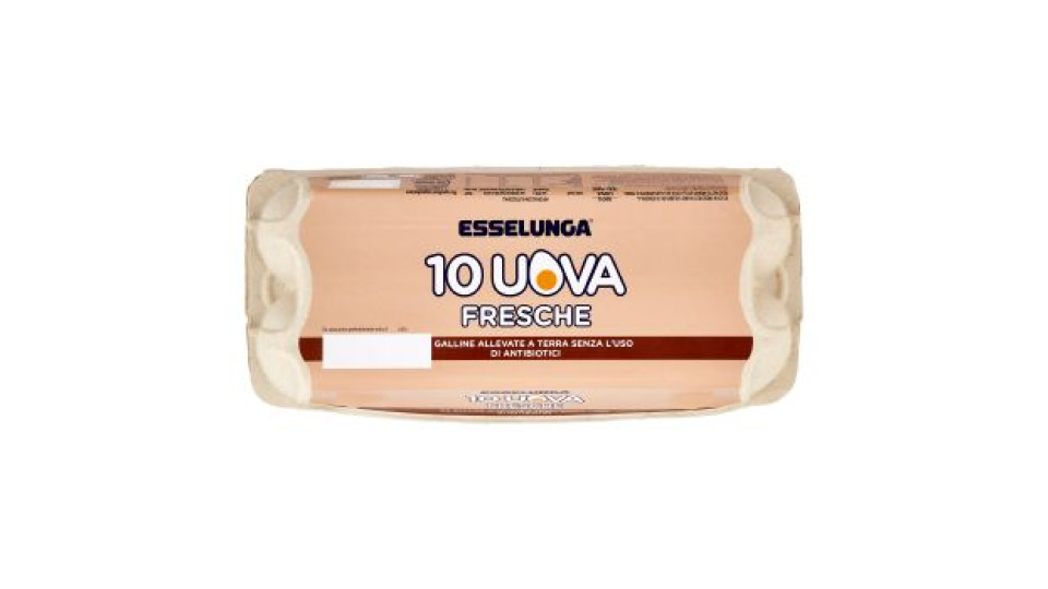 Esselunga 10 Uova fresche galline allevate a terra senza l'uso di antibiotici 570 g