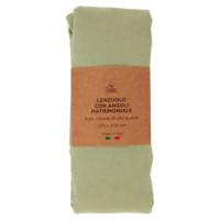 Lenzuolo con Angoli Matrimoniale 170 x 200 cm Verde P15