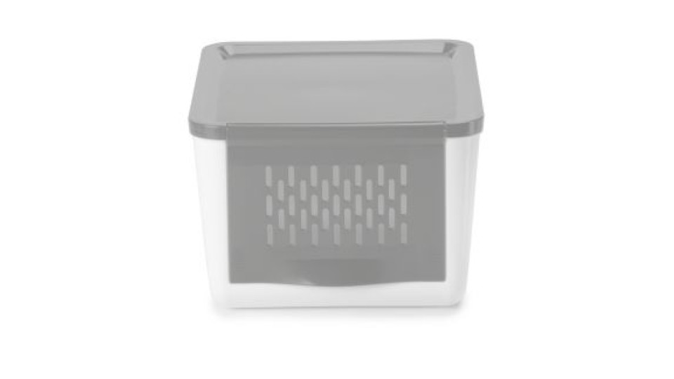 PORTA CIPOLLE E VERDURA 2KG