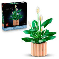 LEGO LEGO Botanicals Spatifillo 11504