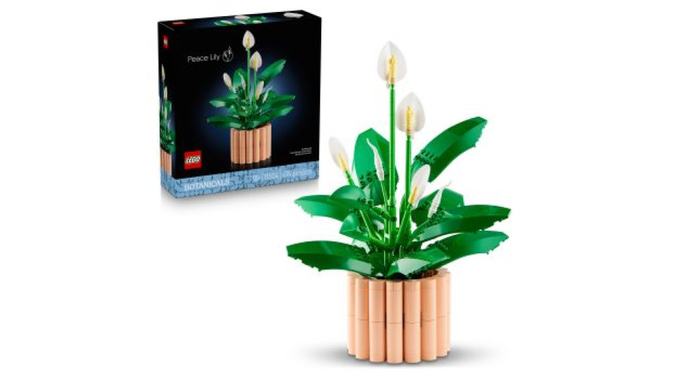 LEGO LEGO Botanicals Spatifillo 11504