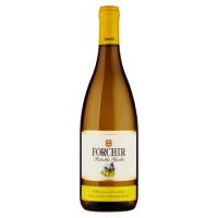 Forchir delle Venezie IGT Ribolla Gialla 75 cl