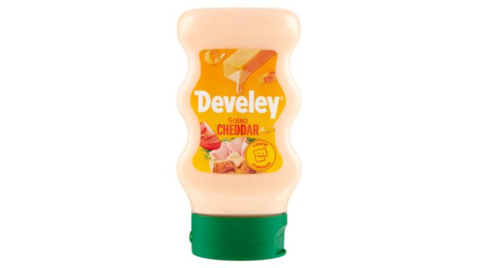 Develey Salsa Cheddar 250 ml