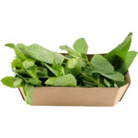 Esselunga menta confezionata 30 g