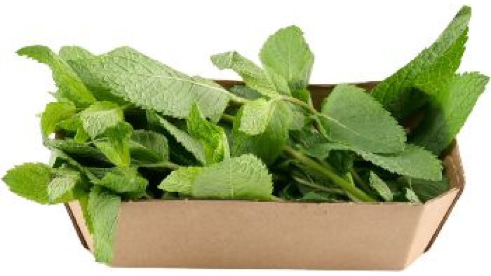 Esselunga menta confezionata 30 g