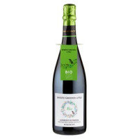 Umberto Cavicchioli & Figli Bio Lambrusco di Modena DOC Biologico 75 cl