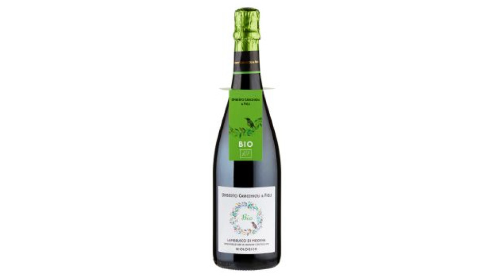 Umberto Cavicchioli & Figli Bio Lambrusco di Modena DOC Biologico 75 cl