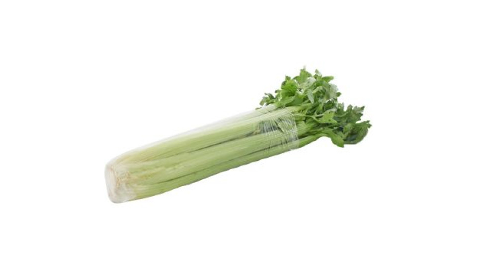 Sedano Verde Bio 500g
