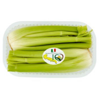 CUORE DI SEDANO
