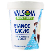 Valsoia Bontà e Salute Gelato Bianco Cacao 300 g