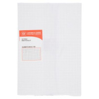 Cartiera di Varese Fogli Protocollo Quadretto Medio 5 mm. 30 pz