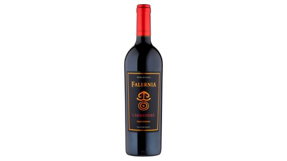 Falernia Carmenere Gran Reserva D.O. Valle de Elqui 750 ml