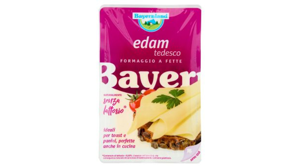 Bayernland edam tedesco Formaggio a Fette 100 g