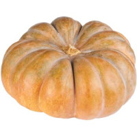 Zucca Moscata di Provenza